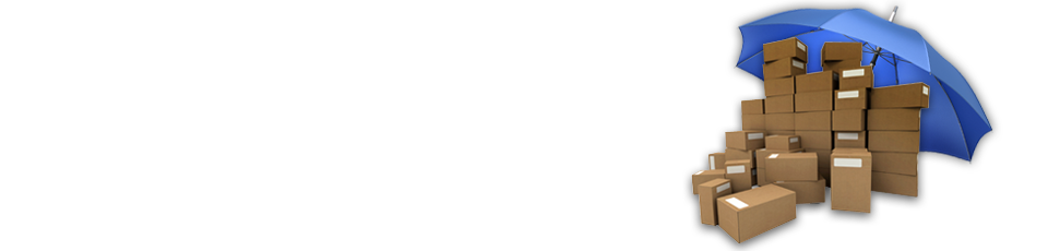 RS Package Insurance